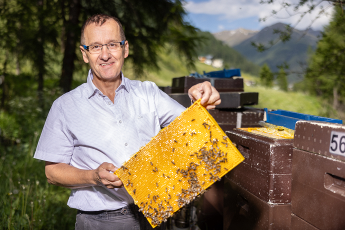 Einzigartiges Honigerlebnis: Entdecken Sie die Honigvielfalt von Imker Arthur Jenal aus Samnaun Einzigartiges Honigerlebnis: Entdecken Sie die Honigvielfalt von Imker Arthur Jenal aus Samnaun