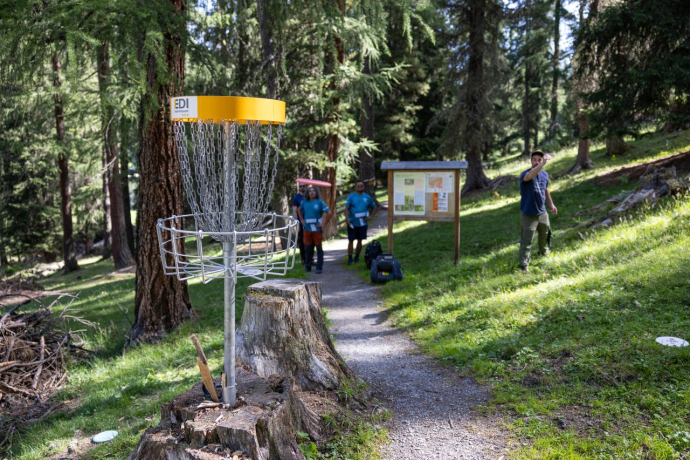 Discgolf
