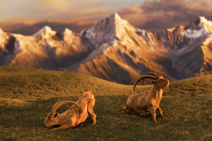 Mach's besser mit Gian & Giachen