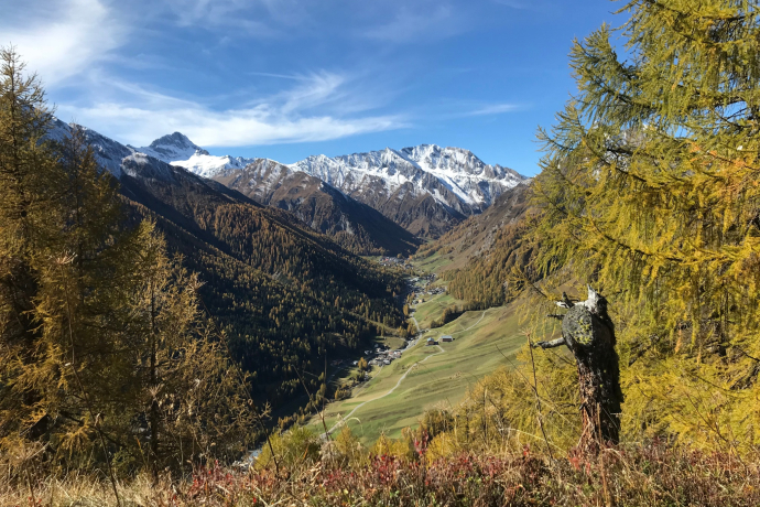 Herbst in der Natur Samnauns