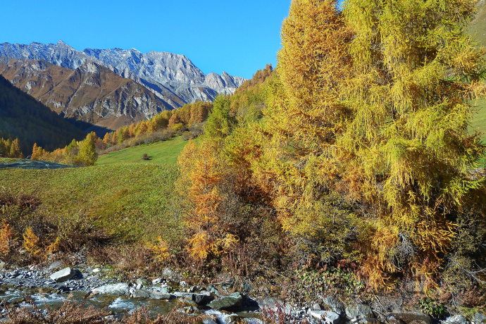 Der Herbst in Samnaun.
