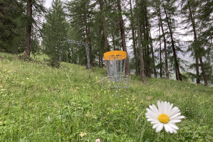 Discgolf Discgolf