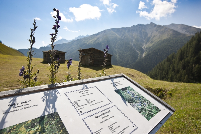 Themenwege_Samnaun_Zitatenweg Themenwege_Samnaun_Zitatenweg