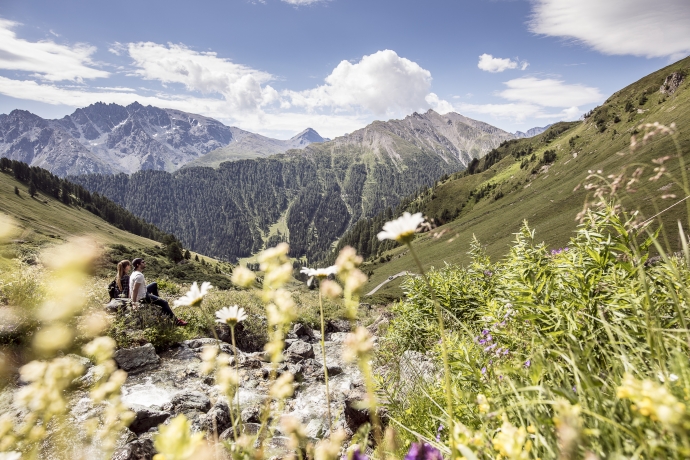 Bergblumen in Samnaun