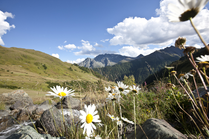 Wandern in der wunderschönen und beeindruckenden Natur Wandern in der wunderschönen und beeindruckenden Natur