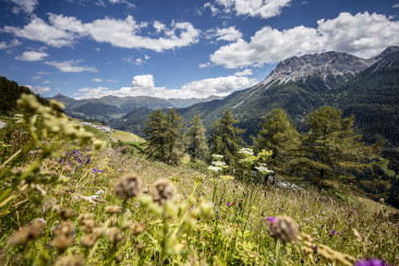 Die Ferienregion Engadin Samnaun Val Müstair und die ZHAW setzen Standards für mehr Nachhaltigkeit