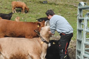 Sommerkampagne_Mutterkuh_Kuhglocken