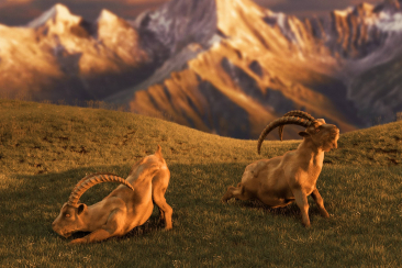 Mach's besser mit Gian & Giachen Titelbild