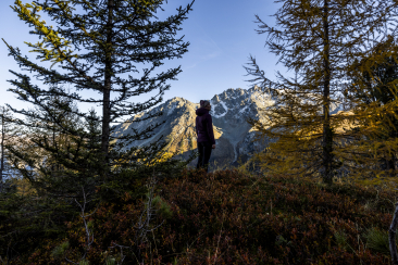 Wandern im Herbst