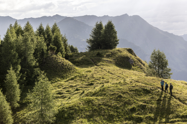 Wandern