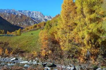 Der Herbst in Samnaun.